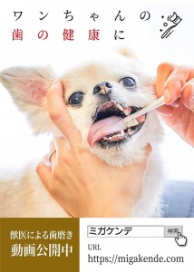 犬の歯ブラシ 猫の歯ブラシ