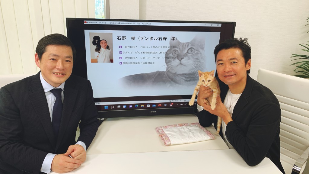 猫の歯周病 歯みがき 日本ペット歯みがき普及協会