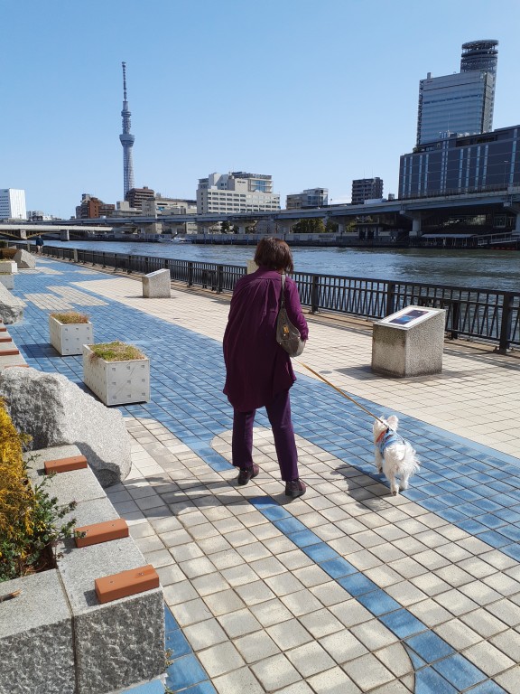MONday Apart Premium秋葉原浅草橋ステーション 犬とお散歩
