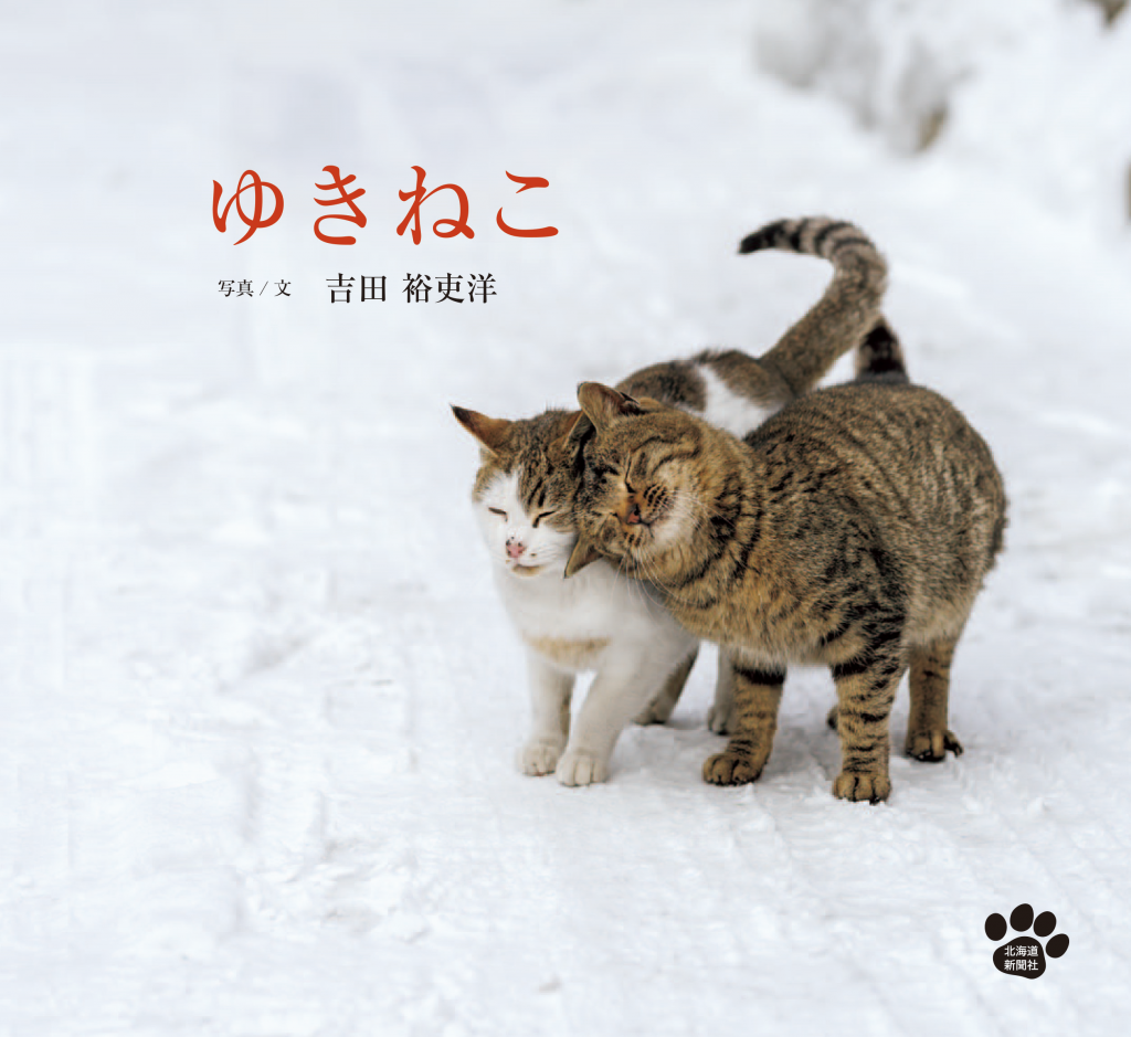 北海道 猫 写真集
