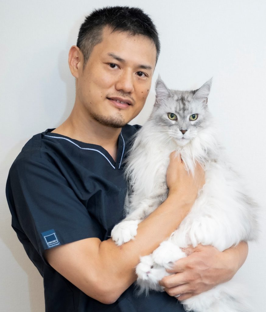 猫の変形性関節症 服部獣医師