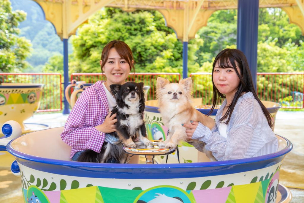 犬スポット 関東 さがみ湖MORI MORI