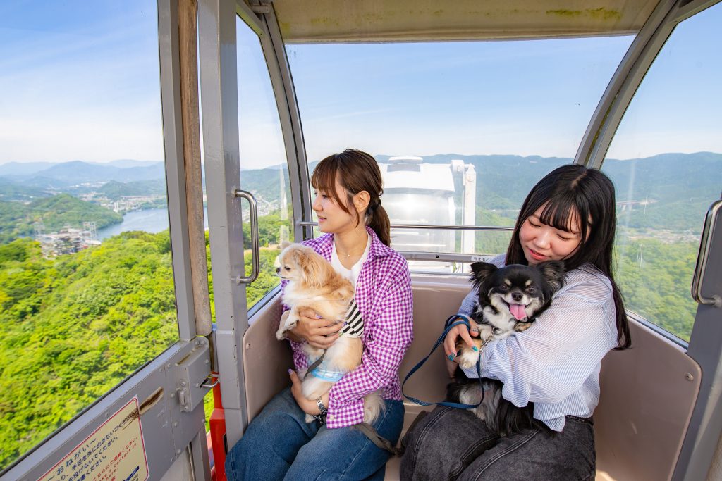 犬スポット 関東 さがみ湖MORI MORI