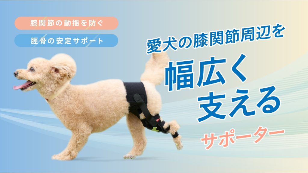 犬  パテラ サポーター