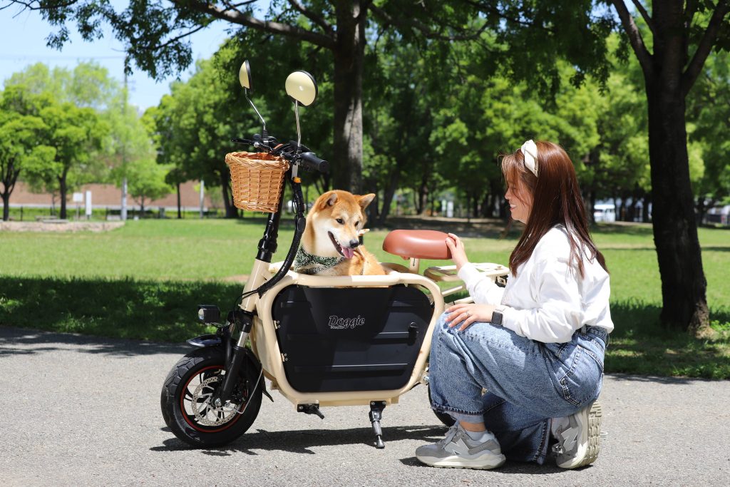 犬と乗れるバイク 公園 柴犬 女性