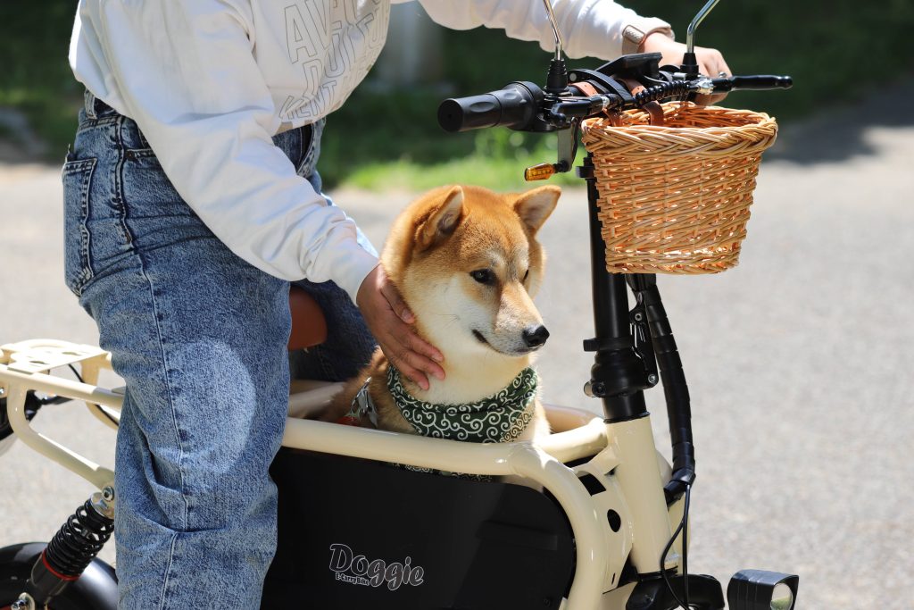 犬と乗れるバイク Doggie 柴犬